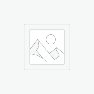 Uncategorized